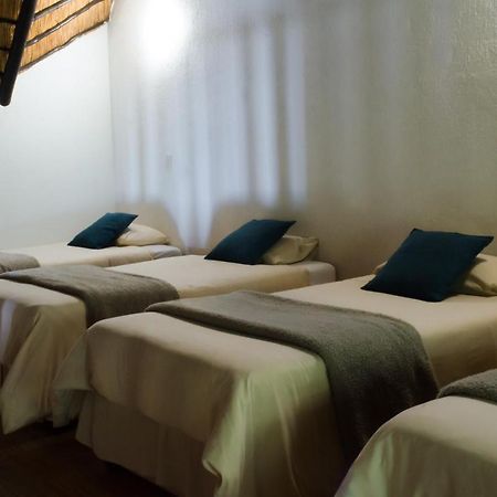 Pensao Guest Lodge نيلسبروت المظهر الخارجي الصورة